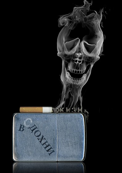 Иллюстрации: Иллюстрации