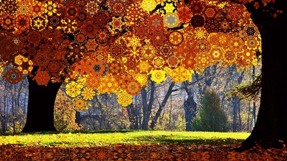 Иллюстрации: Иллюстрации